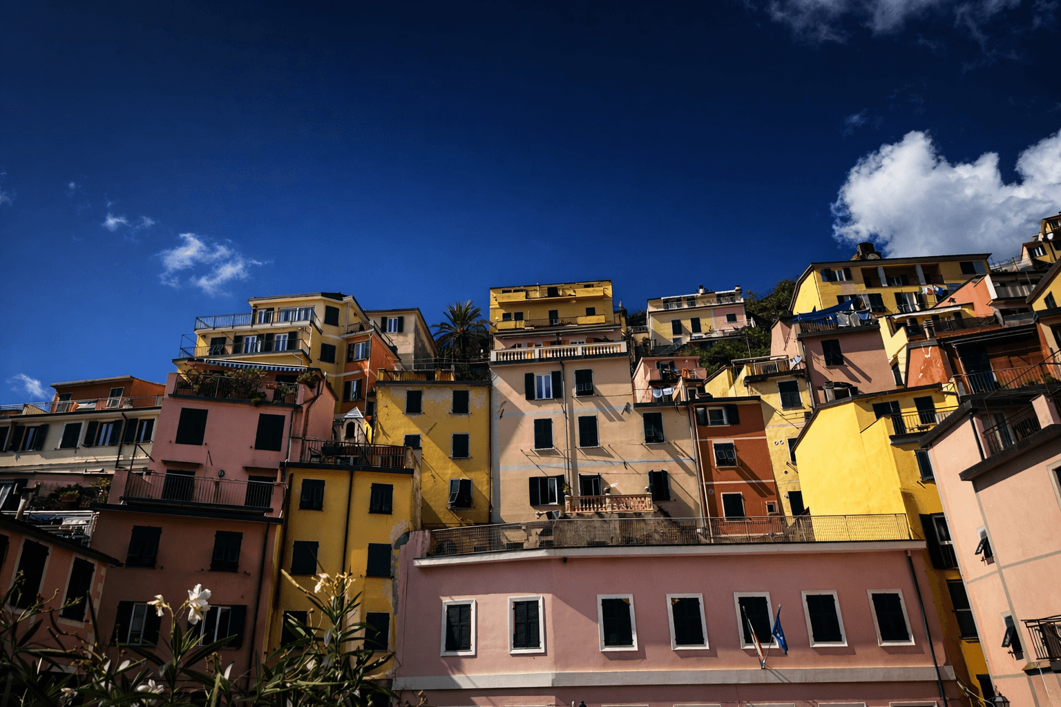 Image Enhancement Request Feb 28 2026 (14).png